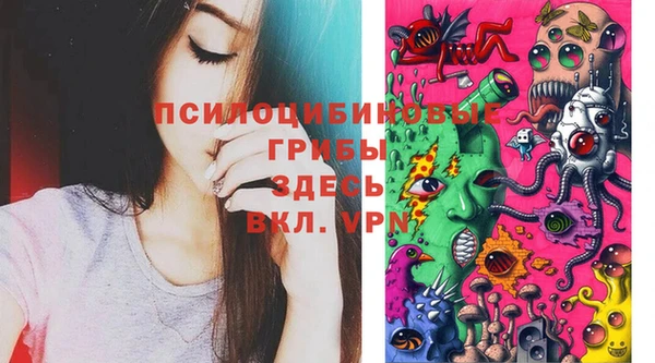 тгк Аркадак
